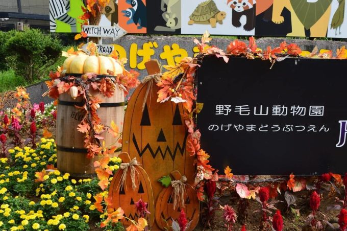 ハロウィン